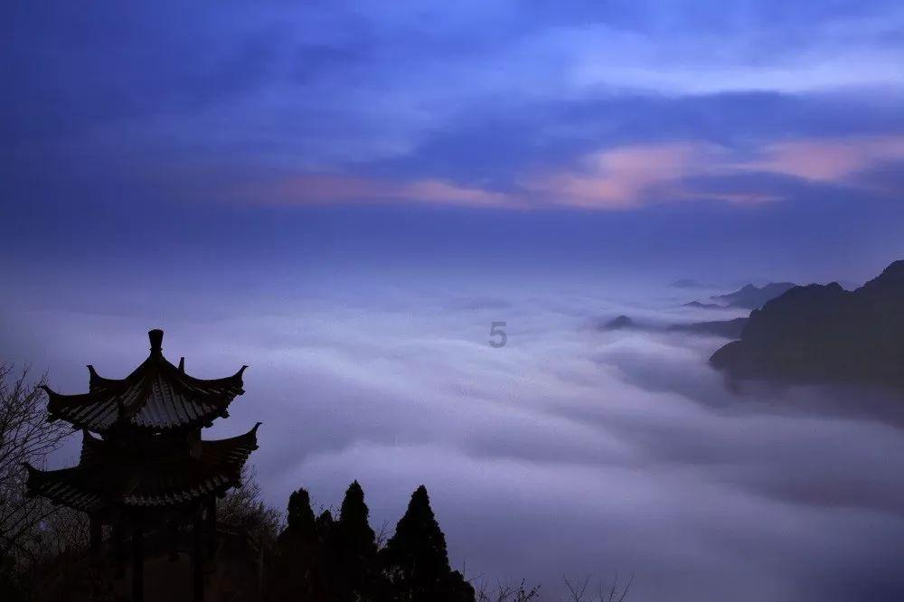 利津农商银行情暖“夕阳红”护航幸福晚年